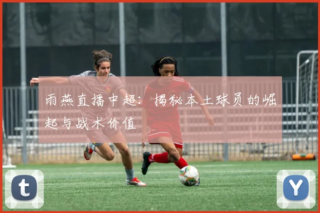 雨燕直播中超：揭秘本土球员的崛起与战术价值
